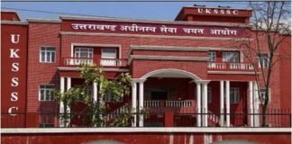 UKSSSC: उत्तराखंड में 398 सरकारी पदों पर भर्ती शुरू, 6 जुलाई तक ऐसे करें आवेदन, जानिए पूरी डिटेल